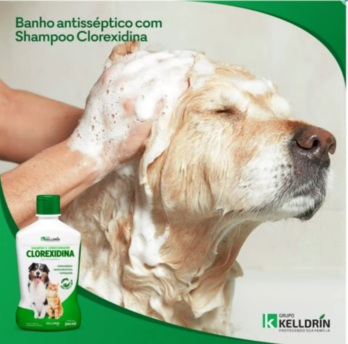 Shampoo e Condicionador Bactericida com Clorexidina, antisséptico antiqueda