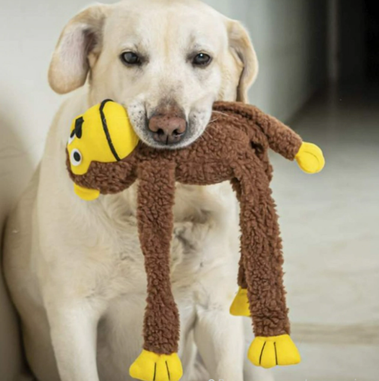 Brinquedo de Pelúcia para Cachorros - Macaco AUmigão